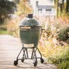 Large Big Green Egg + Standard Nest + Egg Mates Package - TryIlluminate