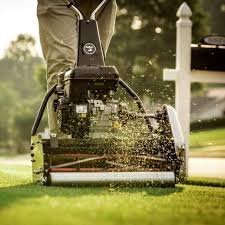 Rolux Z20 – 20″ EGO Electric Reel Mower Gunmetal Gray / 9 Blade / EGO Electric - TryIlluminate