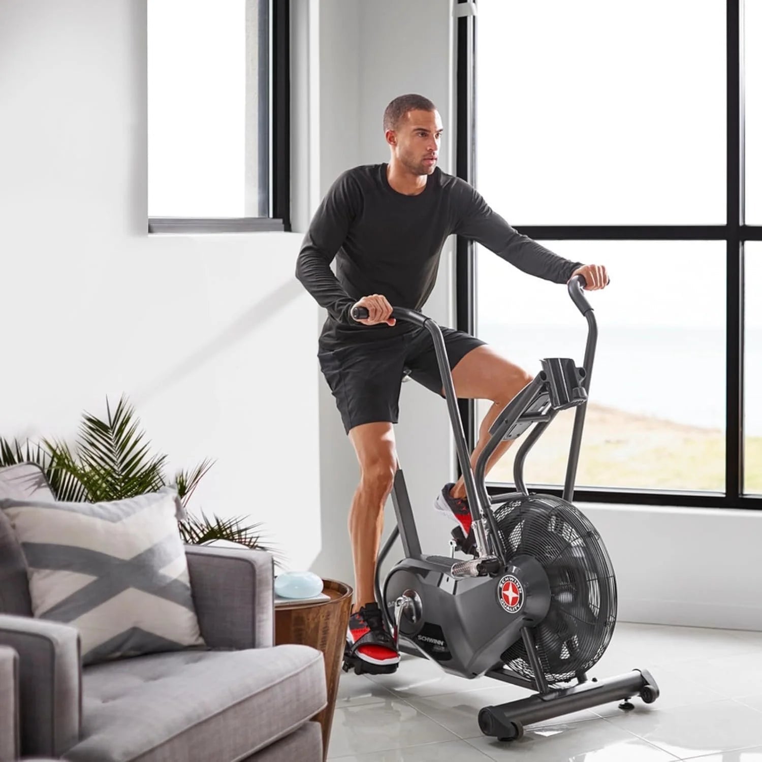 Schwinn Airdyne AD6 Exercise Bikes. - TryIlluminate
