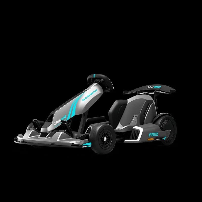 Segway GoKarts Pro 2 - TryIlluminate