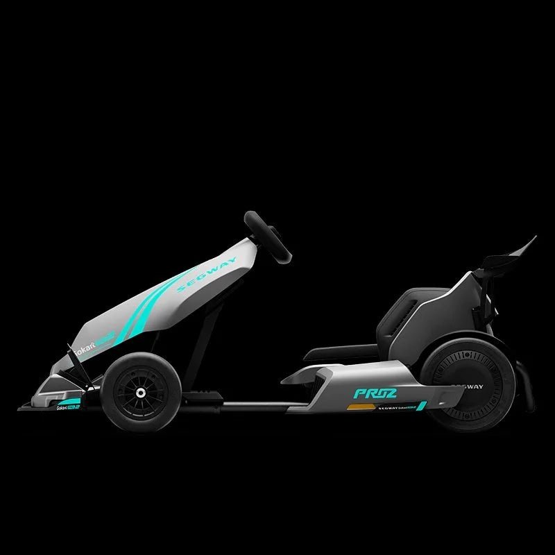 Segway GoKarts Pro 2 - TryIlluminate