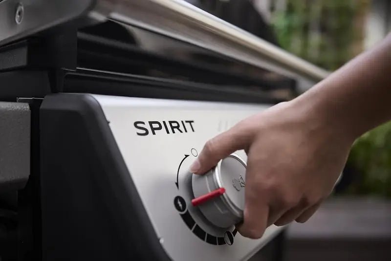 Weber SPIRIT 2-Burner Grills E-210 Liquid Propane Black - TryIlluminate
