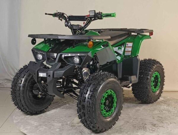 125cc Youth ATV 4-stroke 1-cylinder JUST ARRIVED 2025 - TryIlluminate