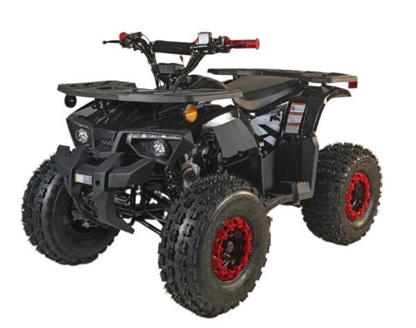 125cc Youth ATV 4-stroke 1-cylinder JUST ARRIVED 2025 - TryIlluminate