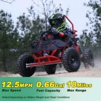 X-Pro Rover 50 Go Karts.