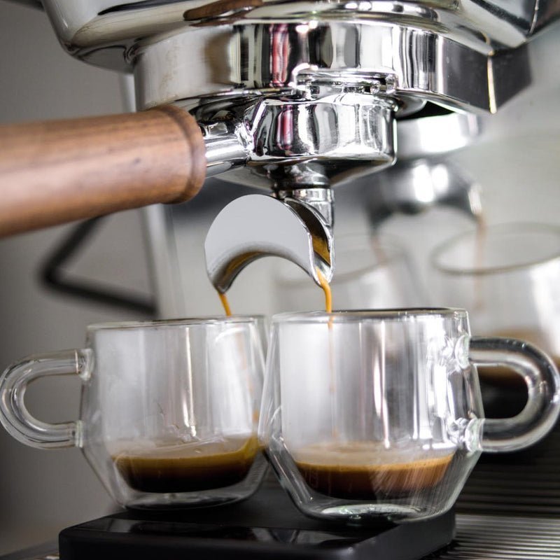 Ascaso Baby T Plus 1 Group Automatic Espresso Machine - TryIlluminate