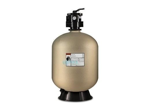 Pentair Sand Dollar SD60 Top Mount Sand Filter - TryIlluminate
