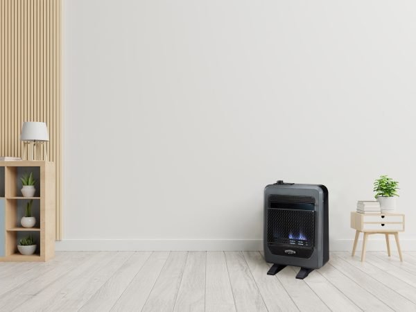 Bluegrass Living 10,000 BTU Propane Gas Ventless Blue Flame Space Heater with Base Feet B10TPB-B