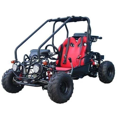 Taotao GK110 Kids Gas Go Kart Dune Buggys. - TryIlluminate
