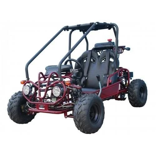 Taotao GK110 Kids Gas Go Kart Dune Buggys. - TryIlluminate