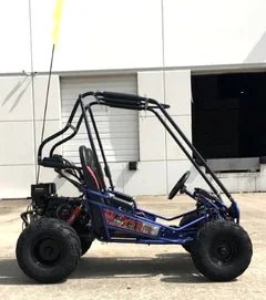 Trailmaster Mini XRX+ 2- Seater GO-KART EAGLE SERIES 163cc Blues. - TryIlluminate
