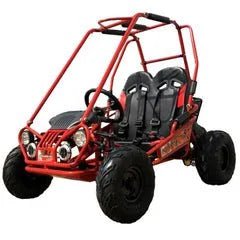 Trailmaster Mini XRX+ 2- Seater GO-KART EAGLE SERIES 163cc Blues. - TryIlluminate